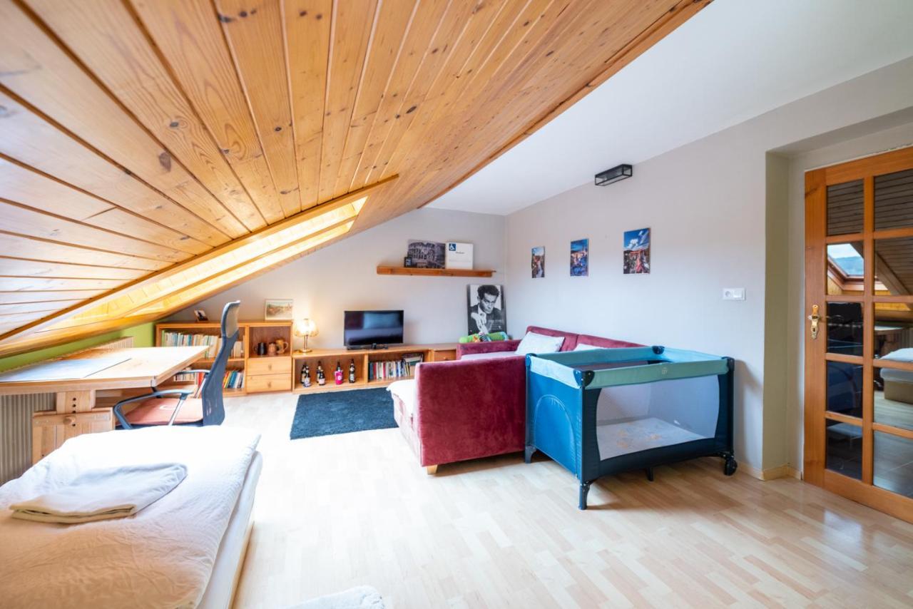 Czech Family Home Český Krumlov المظهر الخارجي الصورة