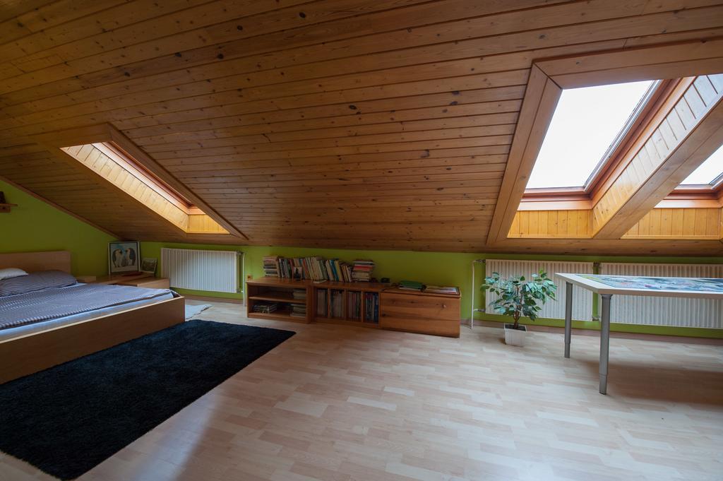 Czech Family Home Český Krumlov المظهر الخارجي الصورة